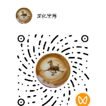 WeChat Channels QR — 龙化出海